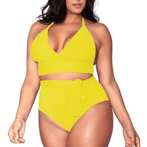 Plus size two piece swimsuit